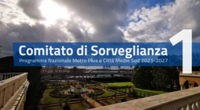 Comitato di Sorveglianza